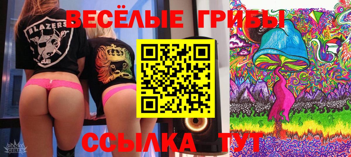 Галлюциногенные грибы Холмск