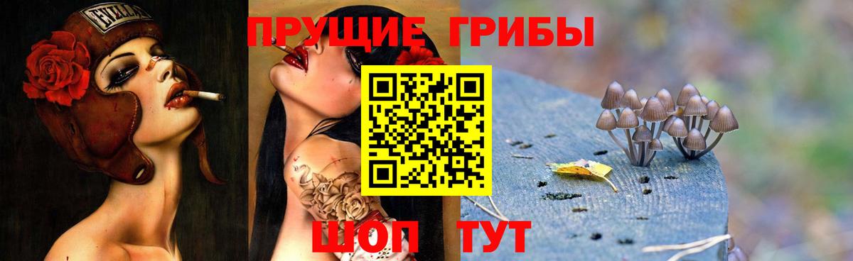Холмск  Псилоцибиновые грибы мицелий  Вход с VPN  Галлюциногенные грибы прущие грибы 